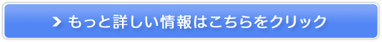 RXpeBVGuP[LΌv̔TCg